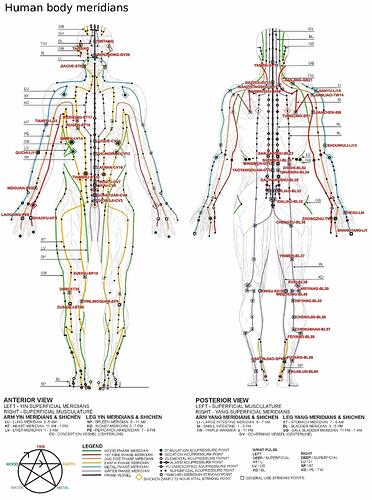 Image: human_body_meridians.cleaned (2555×3432 592 KB) Image: human_body_meridians.cleaned (2555×3432 592 KB)