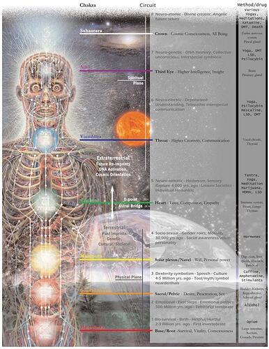 Image: chakras7.cleaned (638×825 108 KB) Image: chakras7.cleaned (638×825 108 KB)