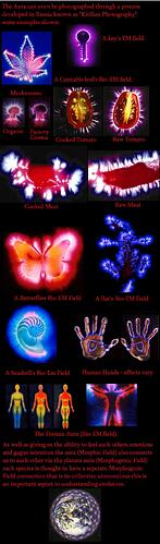 Image: aura2 (940×3176 312 KB) Image: aura2 (940×3176 312 KB)