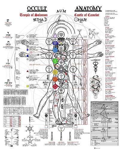 Image: occult_anatomy.cleaned (2192×2680 1.1 MB) Image: occult_anatomy.cleaned (2192×2680 1.1 MB)