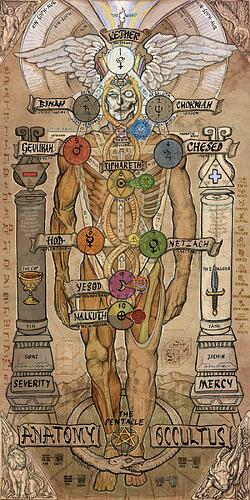 Image: occult_anatomy2.cleaned (800×1600 372 KB) Image: occult_anatomy2.cleaned (800×1600 372 KB)