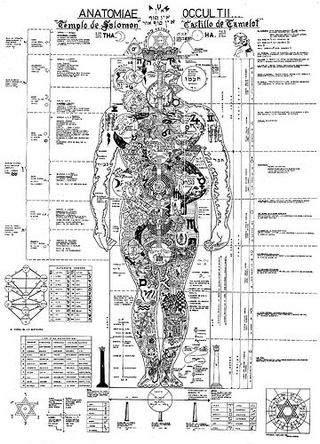 Image: occult_anatomy4.cleaned (2000×2774 1000 KB) Image: occult_anatomy4.cleaned (2000×2774 1000 KB)