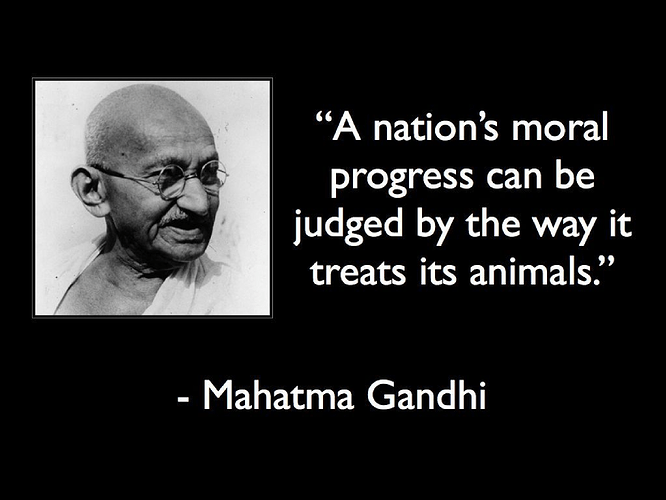 Image: mark-passio-121-015-compressed (4267×3200 418 KB) Image: mark-passio-121-015-compressed (4267×3200 418 KB)