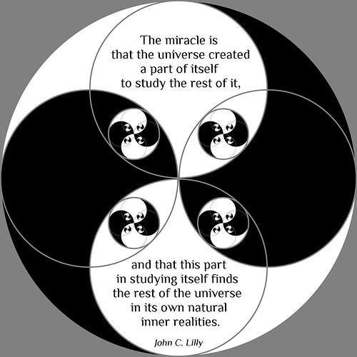 Image: lilly (960×960 89.6 KB) Image: lilly (960×960 89.6 KB)