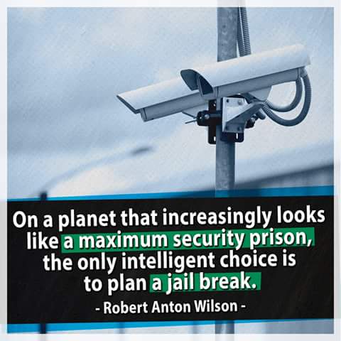 14344946_1082133621842642_8860521974692238772_n