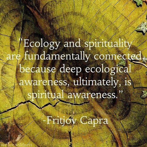 Image: capra (550×550 132 KB) Image: capra (550×550 132 KB)