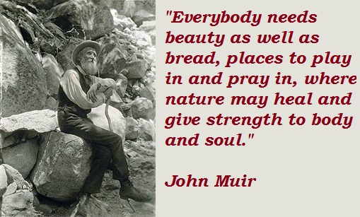 Image: muir (509×307 67.5 KB) Image: muir (509×307 67.5 KB)