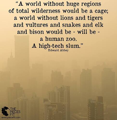 Image: abbey_city (934×960 74.2 KB) Image: abbey_city (934×960 74.2 KB)