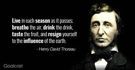 live each season thoreau