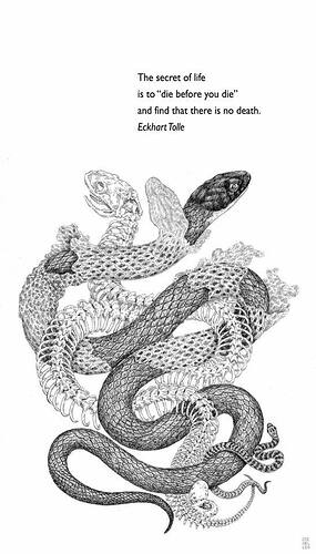 Image: dieb4death (548×960 75.7 KB) Image: dieb4death (548×960 75.7 KB)