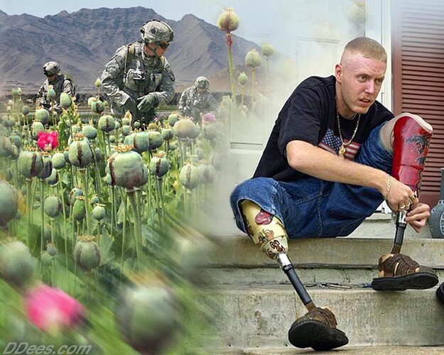 Image: Dees (52) (1350×1080 158 KB)