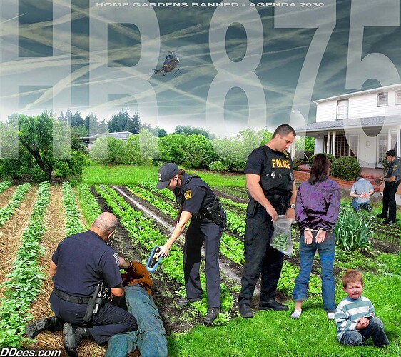 Image: Dees (83) (1215×1080 290 KB)