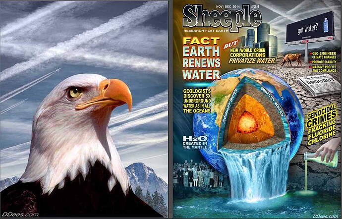 Image: Dees (20) (1094×701 130 KB)