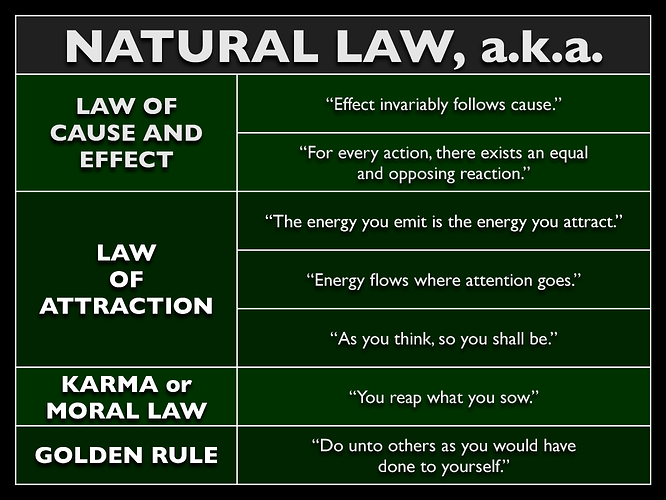 mark-passio-036_Natural-Law-Sovereignty-And-Survival-031-compressed
