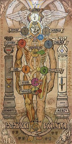 occult_anatomy2.cleaned