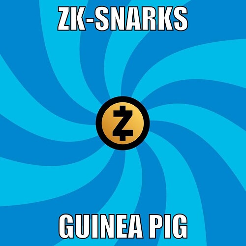 zcash-zksnarks-guinea-pig
