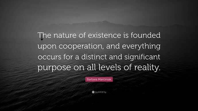 7019832-Barbara-Marciniak-Quote-The-nature-of-existence-is-founded-upon