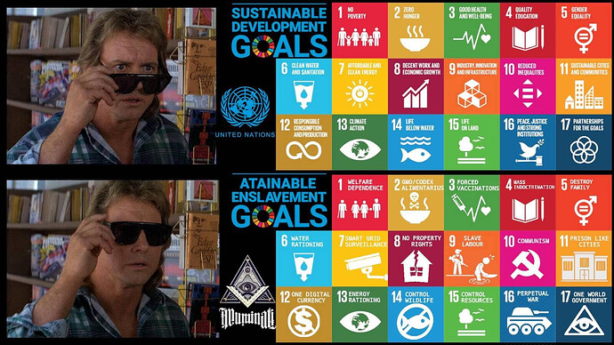 sdgs